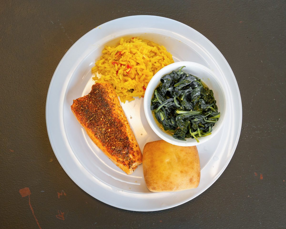 Salmon